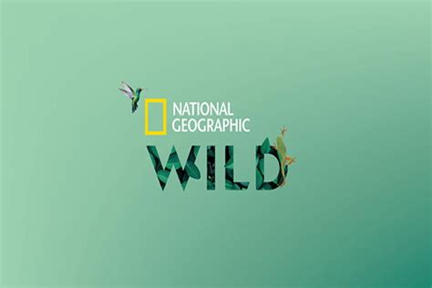 Nat Geo Wild | Watch Online and Stream Live | Hulu