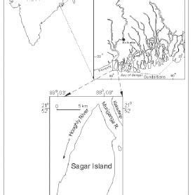 Location Map of the Sagar Island | Download Scientific Diagram