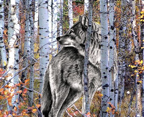 Wolf In The Forest Digital Art by Russ Smith