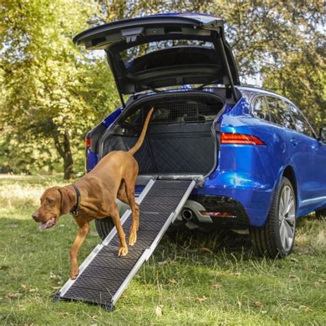 The 8 best dog friendly cars for UK dog lovers - The Global Paw