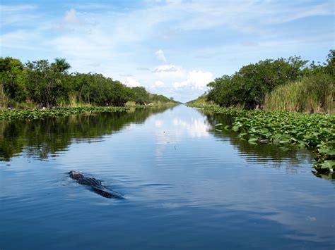 Exploring in the Everglades Holiday park