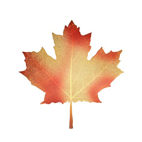 Maple Leaf Print Metal Decal Sticker for Indoor or Outdoor Use on Laptops, Cars, Notebooks ...