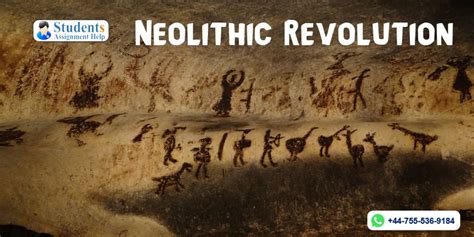 Neolithic Revolution - Free Cause & Effect Essay Sample For College Students