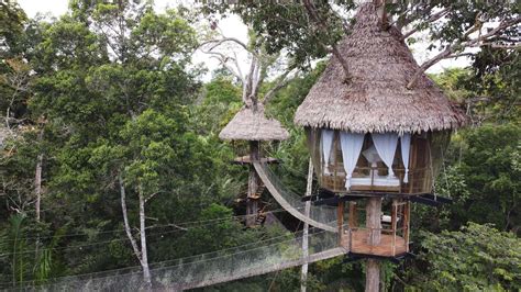 Gallery of Incredible Amazon Images | Treehouse Lodge