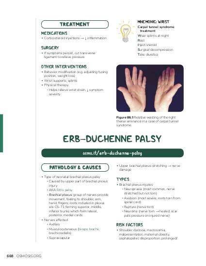 Erb Duchenne Palsy