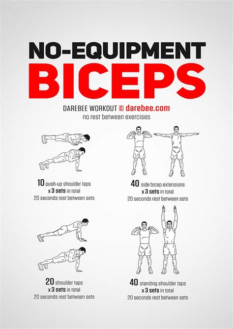 No-Equipment Biceps Workout | Biceps workout at home, Biceps workout, Back and bicep workout