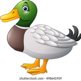 Duck Cartoon Royalty-Free Images, Stock Photos & Pictures | Shutterstock