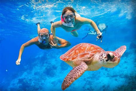 Turtle Snorkeling Tour – Oahu Catamaran