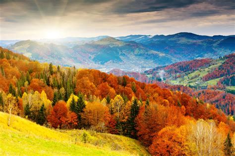 the mountain autumn landscape with colorful forest | Stock image | Colourbox