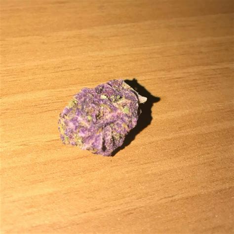 Photos of Purple Haze Weed Strain Buds | Leafly