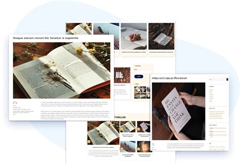 Book WordPress Theme - LT Novel