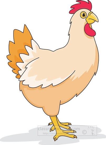 Chicken Clipart-chicken farm animal clipart