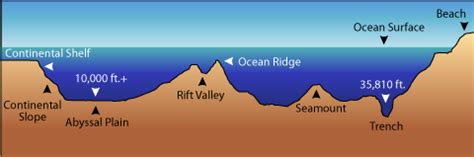 Discuss Features of the Ocean Floor - Free online Course on World Geography