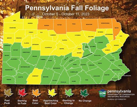 The fall foliage in these Pa counties are already seeing their ‘best ...