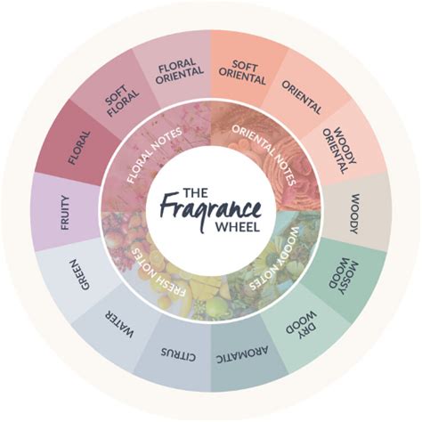 Understanding The Fragrance Wheel | Beauty Base