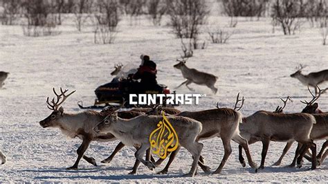 What reindeer herding means to the Sami culture - YouTube