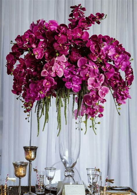 Birthday Orchids – the Best Gift For a Birthday