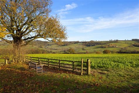 Countryside scenery stock photo. Image of arable, crop - 80810170