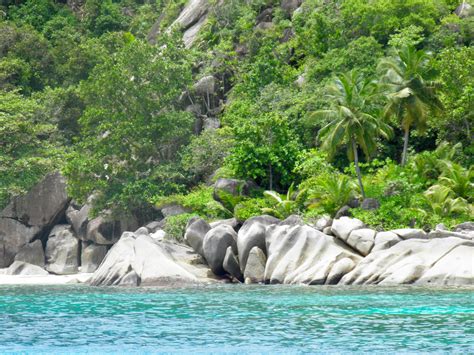 Snorkeling Anse Major, Mahé, Seychelles