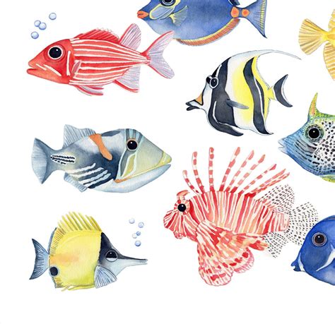 Tropical Fish Art Print / Tropical Fish Watercolor Art / Fish - Etsy