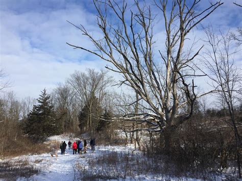 Winter Wanders in Fort Wayne, Indiana | Visit Fort Wayne