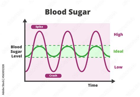 Blood sugar chart isolated on a white background. Blood sugar balance levels, blood sugar roller ...