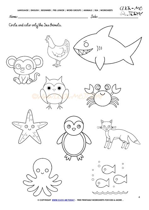 Sea Animals Worksheet - Activity sheet Circle 4