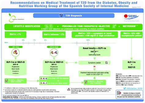 Recommendations on medical treatment of type 2 diabetes from the ...