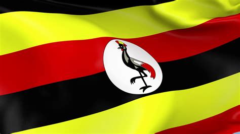 Uganda Flag Wallpapers - Top Free Uganda Flag Backgrounds - WallpaperAccess