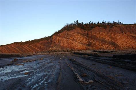 Joggins Fossil Cliffs, a 689 ha palaeontological site along the coast of Nova Scotia, have been ...