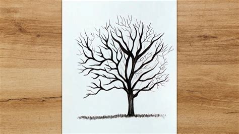 How To Draw A Realistic Tree Without Leaves