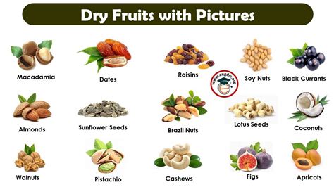 24+ Most Popular Dry Fruits Name List with Pictures - EngDic