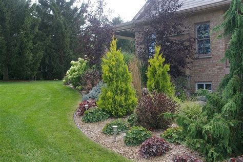 Dwarf Pine Trees For Landscaping — Randolph Indoor and Outdoor Design