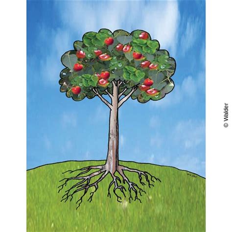 Apple Tree with Roots | Walder Education