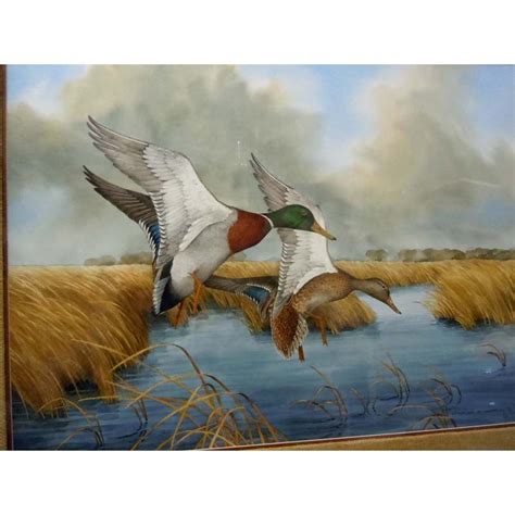 Mallard Duck Watercolor at PaintingValley.com | Explore collection of Mallard Duck Watercolor