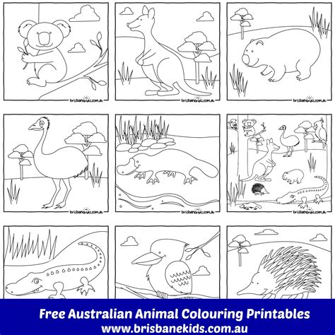 Pin by Judy Frazer on Animal Art | Animal coloring pages, Australian ...