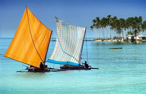 Diving Tawi-Tawi! Discovering Underworld Treasures of Tawi-Tawi