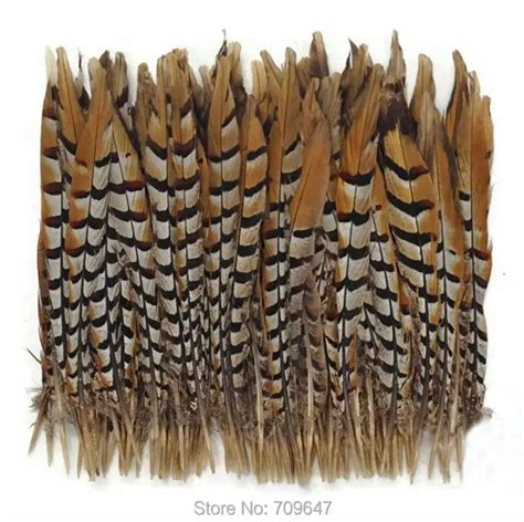 50PCS/LOT!12 14" 30 35cm Reeves Pheasant Feathers,Loose Natural Reeves Venery Pheasant Tail ...