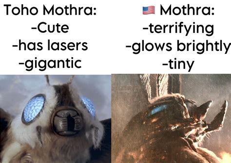 Mothra meme | Godzilla | Know Your Meme