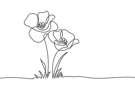 Flower Line Drawing Border Design | Best Flower Site