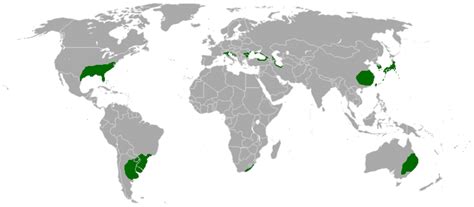 Plants for subtropical climate