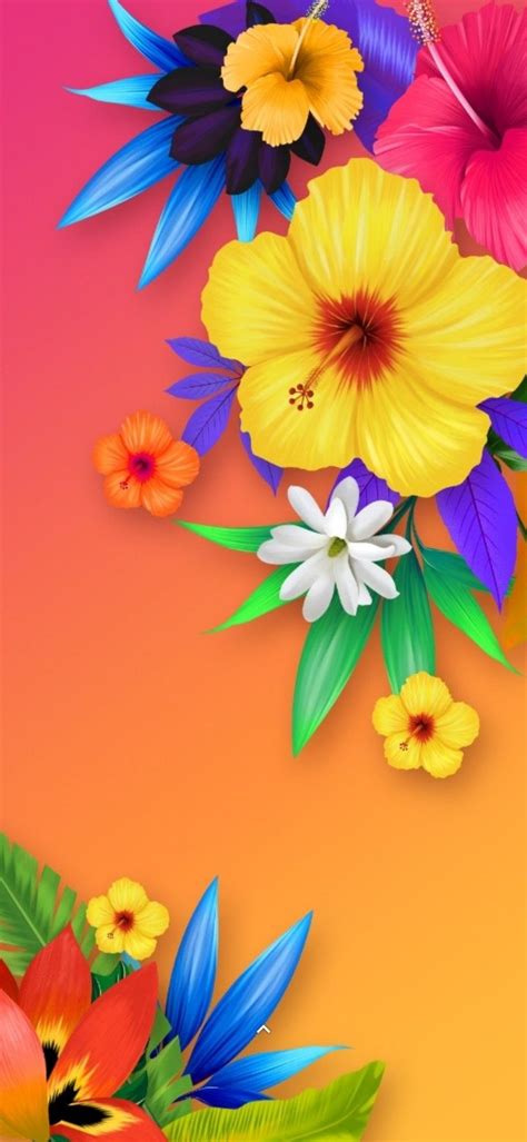 Android Wallpaper Flowers, Iphone Wallpaper Winter, Uhd Wallpaper ...