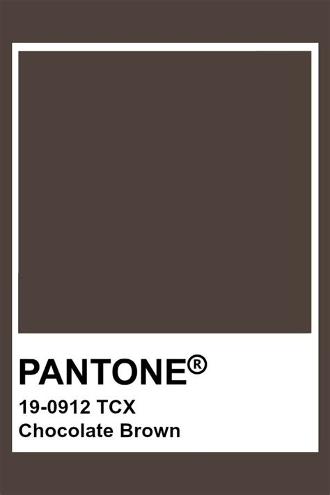 PANTONE 19-0912 TCX Chocolate Brown | Цветовые модели, Цветовые палитры ...