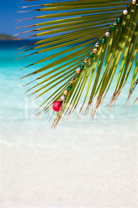 Caribbean Christmas At The Beach Stock Photo | Royalty-Free | FreeImages