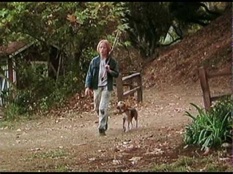 Shiloh (1996) Movie Trailer (Beagle dog) - YouTube