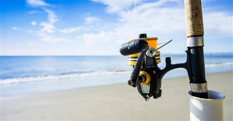 11 Best Spinning Rods For Surf Fishing [2023] - Active At The Beach