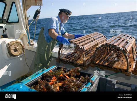 Lobster Fishing, Rustico, PEI, Prince Edward Island, Canada Stock Photo, Royalty Free Image ...