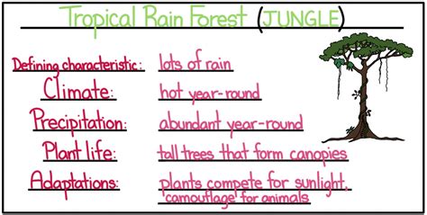 Mrs. Jones’ Cougars, Cheetahs, Leopards, & Jaguars – FLPS Homework