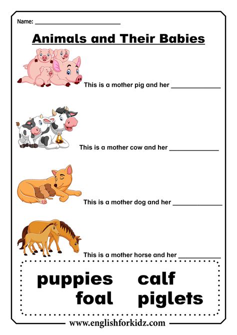 Animal Parents And Their Babies Worksheets