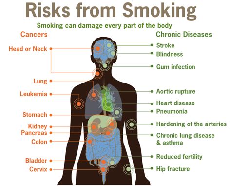 Long Term Effects And Consequences Of Nicotine Addiction